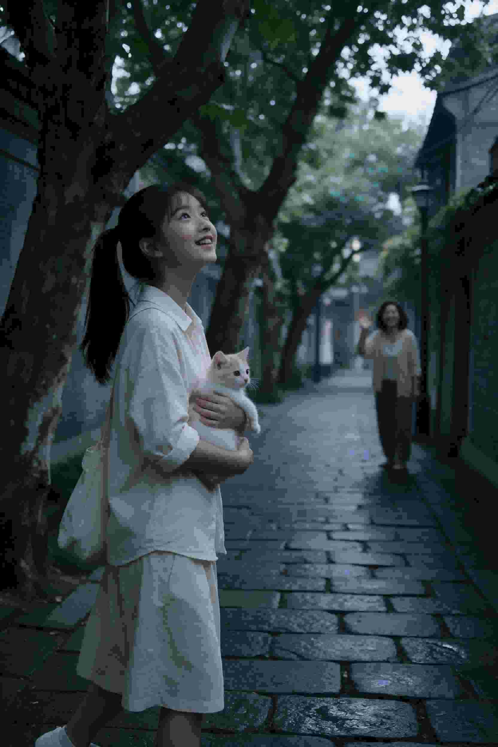 航班密码